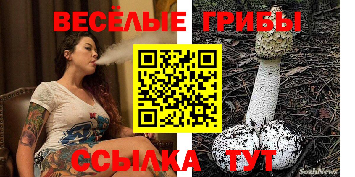 Новотроицк  Псилоцибиновые грибы MAGIC MUSHROOMS  Вход с VPN  Галлюциногенные грибы Magic Shrooms 