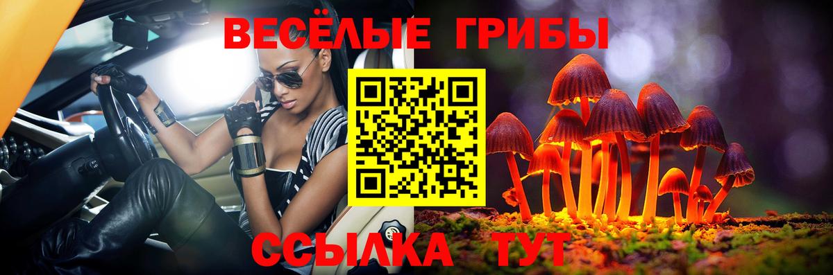 Галлюциногенные грибы мицелий Новотроицк